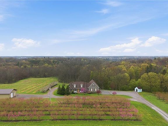 2nd image of 461 Tice Rd