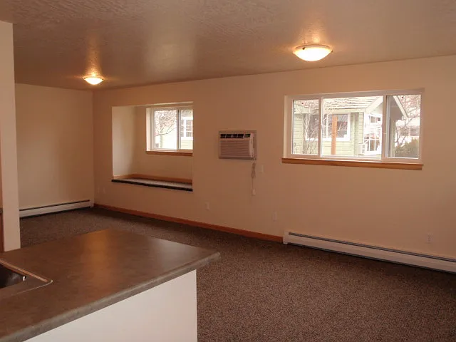Studio, 1.0 bath, $950 — Photo 3