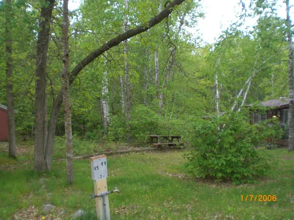 30667 Plumwood Trl, Pequot Lakes, MN 56472