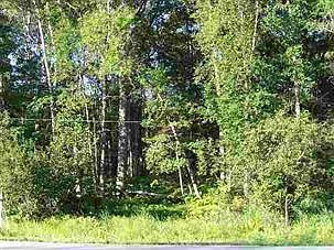 1st image of S Us Highway 23