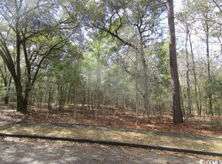 35 Serenity Park Ln LOT 19, Georgetown, SC 29440