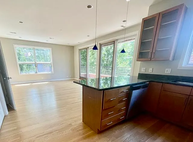 1150 N Hoyne Ave #2 — Photo 8