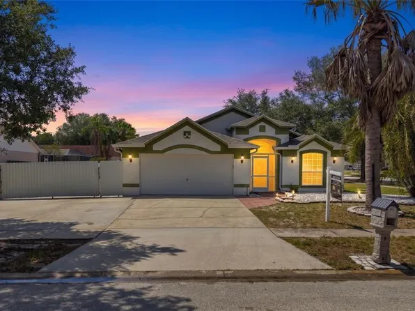 10536 Salisbury St, Riverview, FL 33569