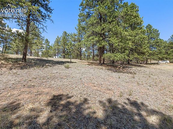 4th image of 349 Rhyolite Ln