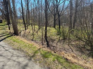 99999 Walker Cove Rd, Black mountain, NC 28711