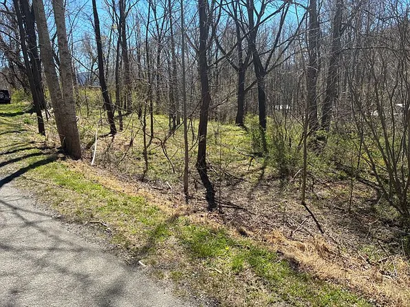 99999 Walker Cove Rd, Black Mountain, NC 28711