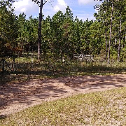 Front/side fence and gate
