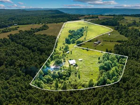 390 Hoffman Dr, Pikeville, TN 37367