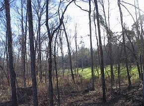 2nd image of 391 Vfw Rd