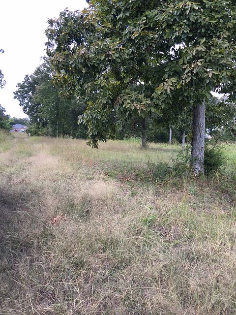 1st image of 2000 Fairfield Pike