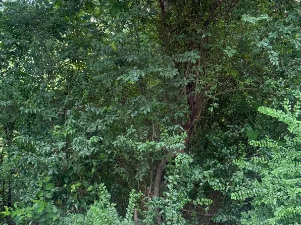 (undisclosed Address), North Little Rock, AR 72118