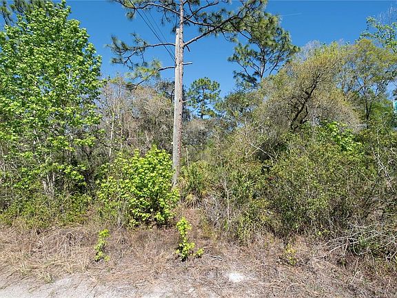 2nd image of 12934 Tanner Rd Lot 19