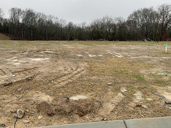 Large, flat home site