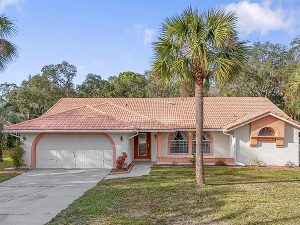 11097 GOLDEN EAGLE AVENUE, WEEKI WACHEE, FL 34613