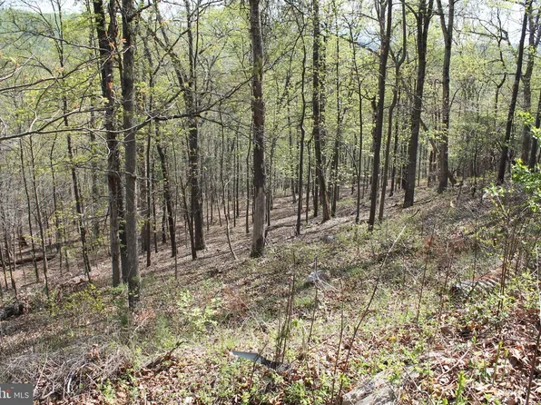 224 Estate Dr, Ruther Glen, VA 22546
