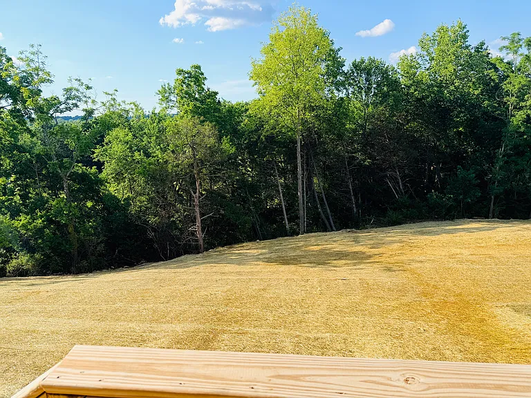3005 Aiken Back Ln — Photo 9