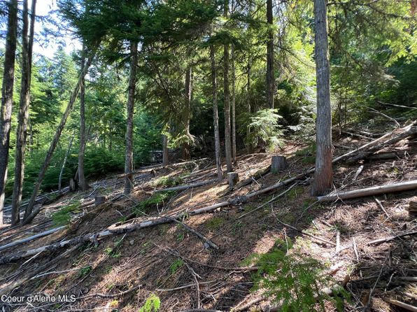 520 Alpine Dr, Fernwood, ID 83830