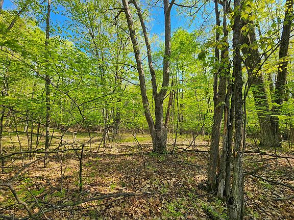 LOT 828 Hemlock Ln, Farwell, MI 48622 | MLS #50109158 | Zillow