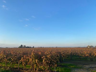 2060 W Woodbridge Rd, Lodi, CA, 95242