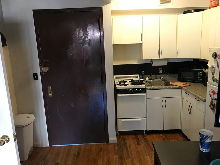 20 Loisaida Ave #3B — Photo 5