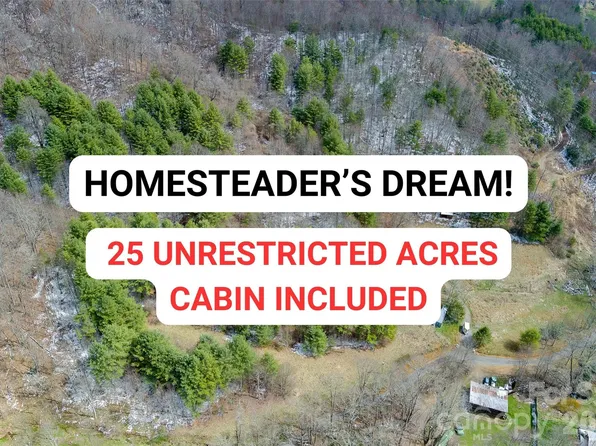 292 Crow Ln, Burnsville, NC 28714