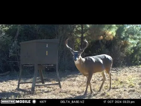 Easley Rd, Magnolia, MS 39652