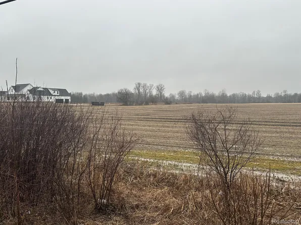 0 Romeo Plank Rd, Ray, MI 48096