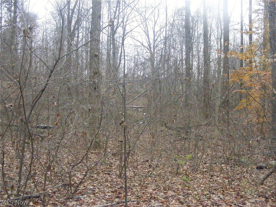 2nd image of Stone Rd