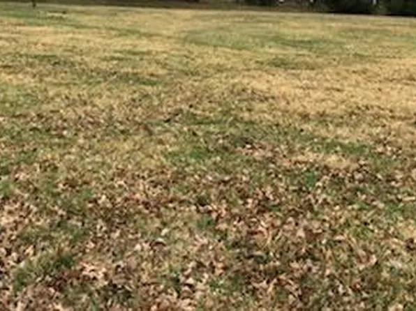 LOT 58 Dolan Ln, Jerseyville, IL 62052