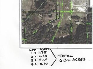 29384 Hadlock Dr, Wesley Chapel, FL 33544