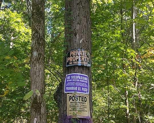 4th image of 023-00 Neddy Mountain Rd