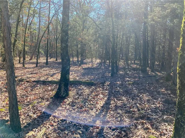 W Harmony Rd, Mansfield, AR 72944