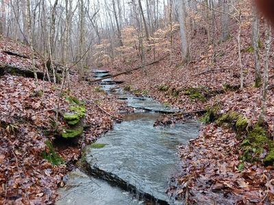 0 Brush Creek Rd, Fairview, TN, 37062