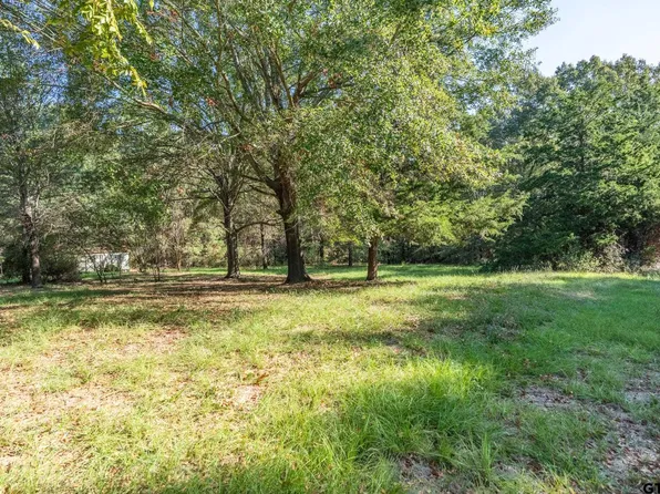 Bay Shore Dr, Flint, TX 75762