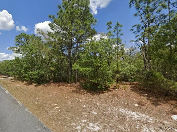 2441 N Sheriff Dr, Beverly Hills, FL 34465