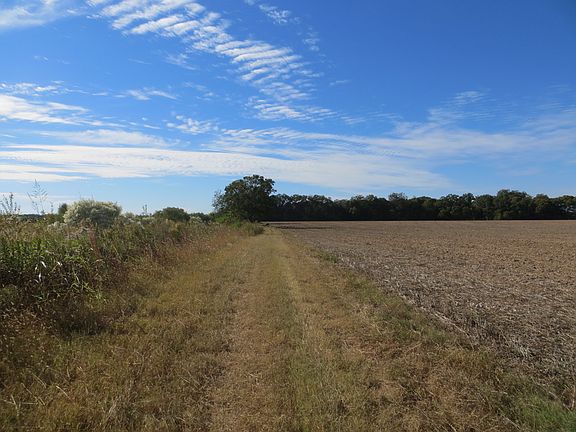 2nd image of 70 Acres Of Land With Crp For Sale In Tensas