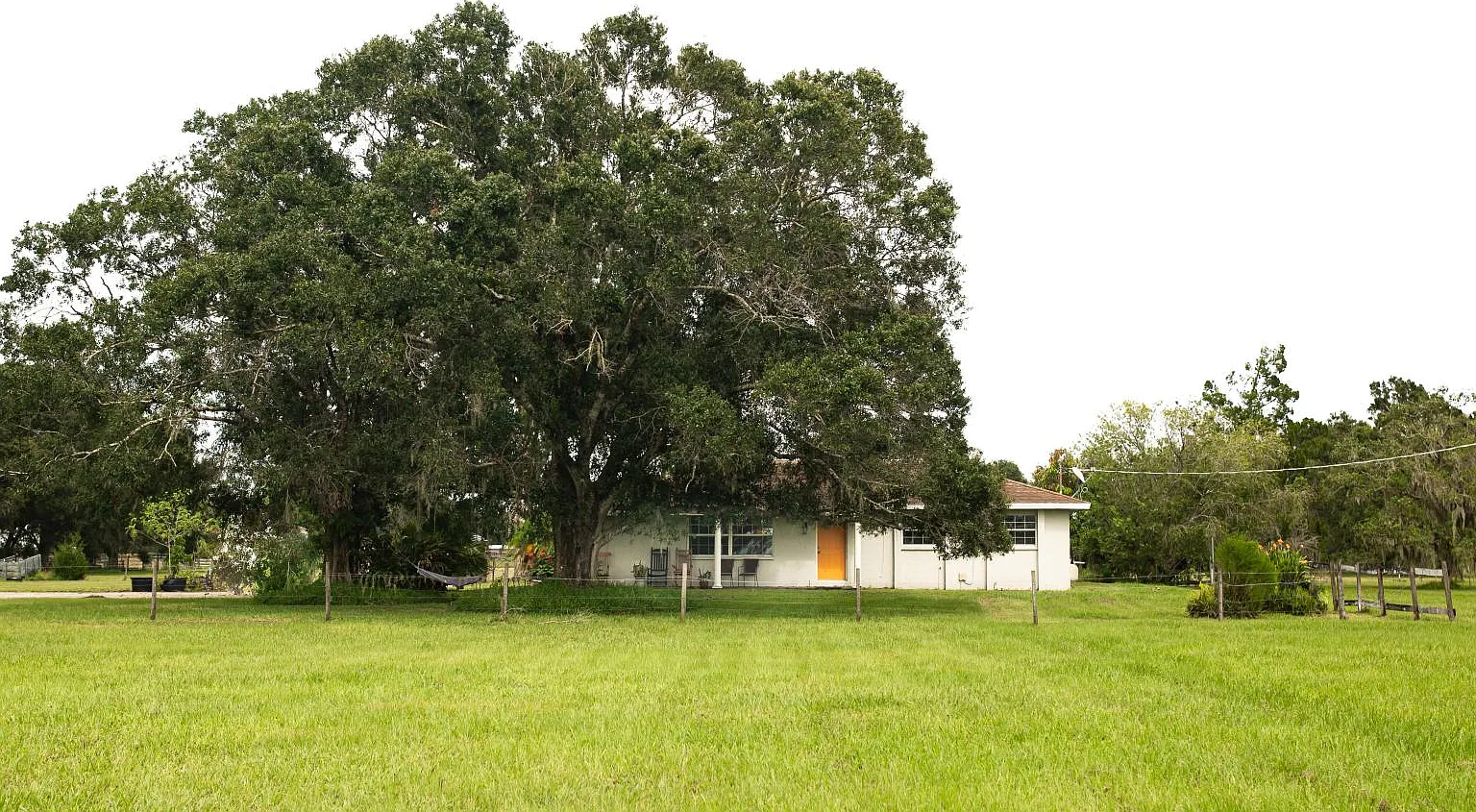 3 bed, 1776 sqft, $3,600 — Photo 2
