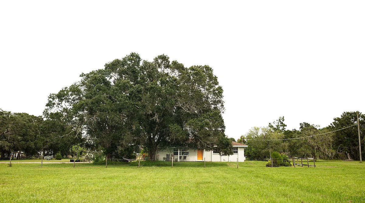 Building Photo - 151 Verna Rd