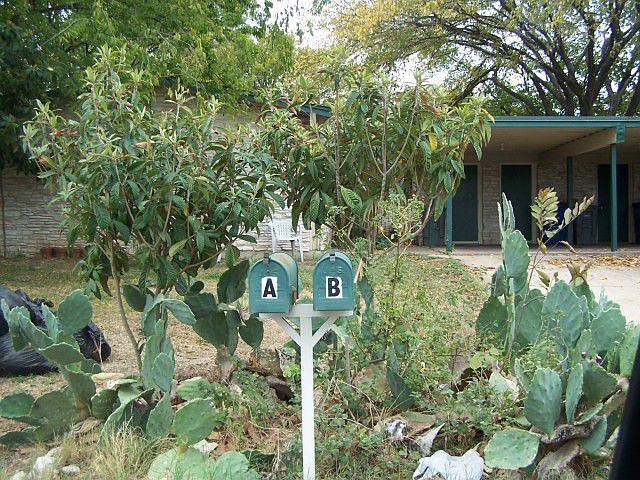 2nd image of 2309 Ventura Dr