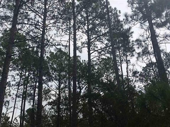 5th image of 0 Mare Creek Dr