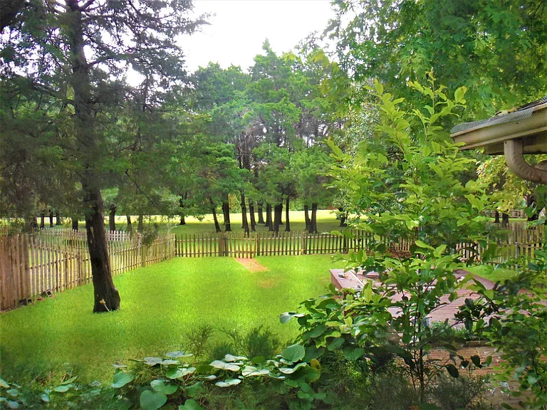 View out of Master Bathroom Window