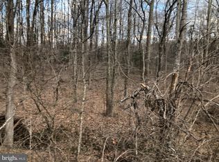 LOT 3 Alum Springs Rd, Rixeyville, VA 22737