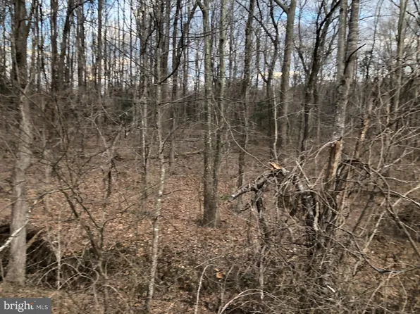LOT 2 Alum Springs Rd, Rixeyville, VA 22737
