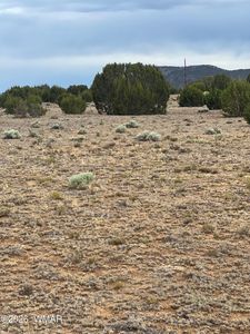 8206 N8206, Concho, AZ, 85924