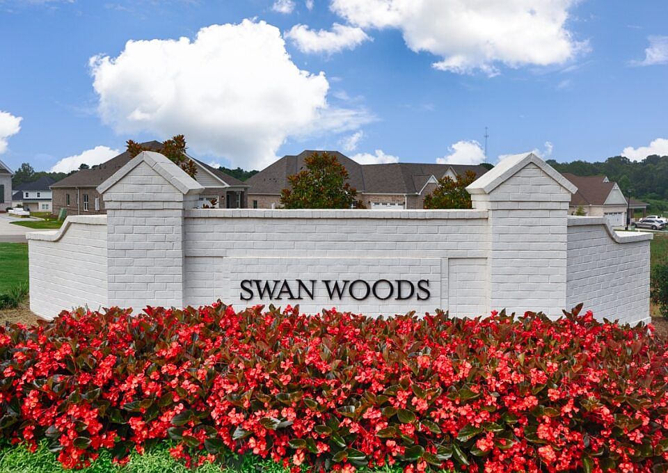 Swan Woods Community Photography