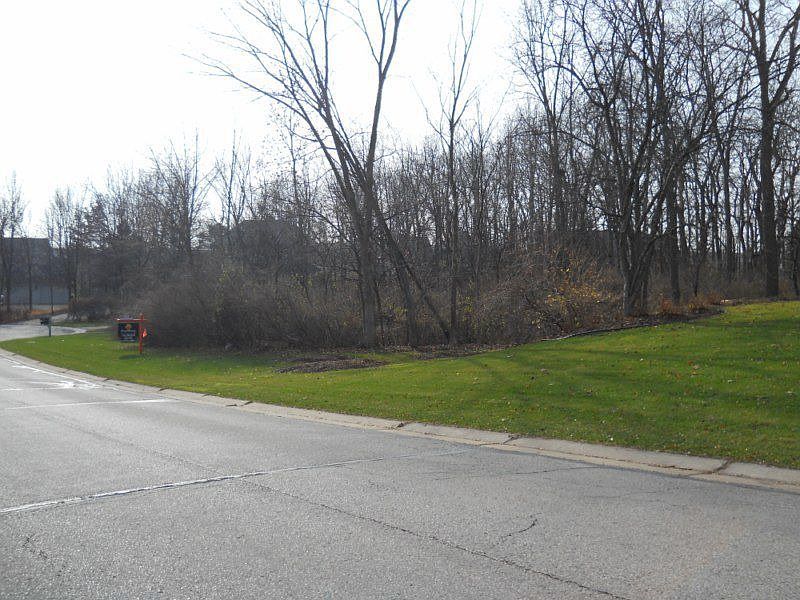 Gently sloped, wooded lot