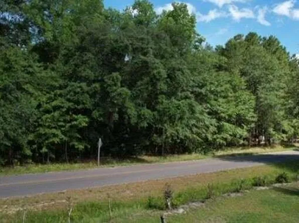 0 Carver Ave, Sylvania, GA 30467