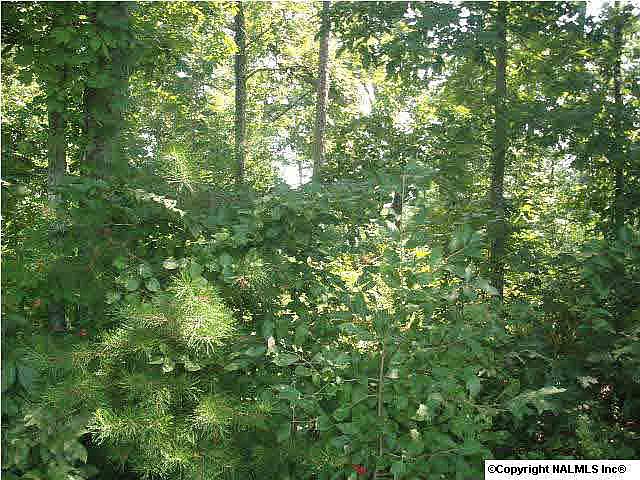 2nd image of Neeley Dr