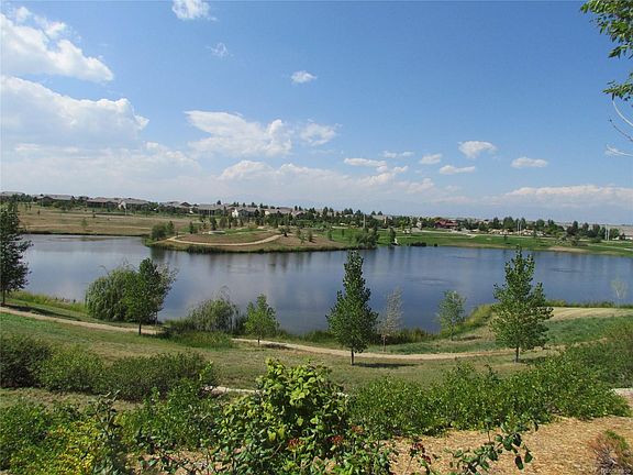 5th image of 16083 Swan Mountain Dr