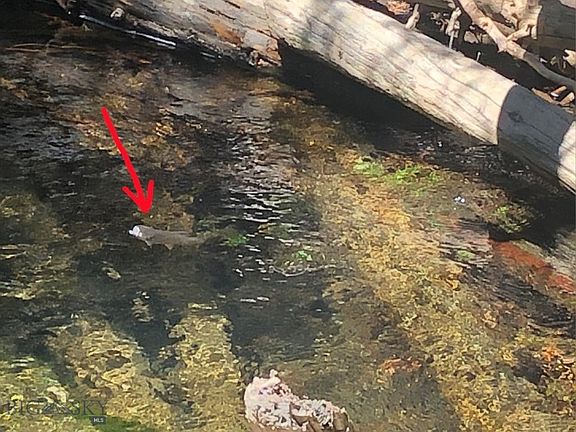 5th image of 7 S Boulder Rd